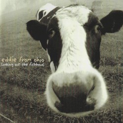 Looking Out the Fishbowl