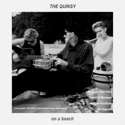 The Quinsy on a Beach