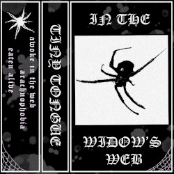 In the Widow’s Web