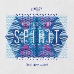 You Are the Spirit (Spirit Remix Album)
