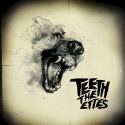Teeth