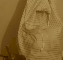 Glory and Disgrace Come From Speaking