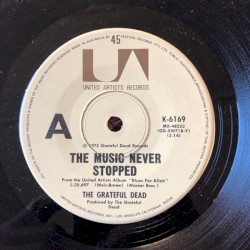 The Music Never Stopped