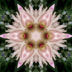 Stilles Wasser - Mantra