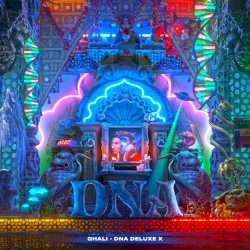 DNA Deluxe X