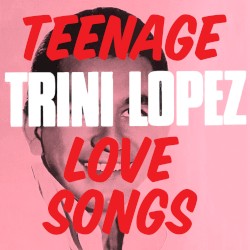 Teenage Love Songs