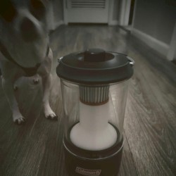 Something Must've Only Loved One Of Us (Jason Molina Tribute)