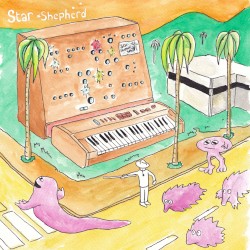Current Explorations in Star Synthesis