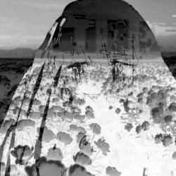 With Time Comes Death and Rebirth