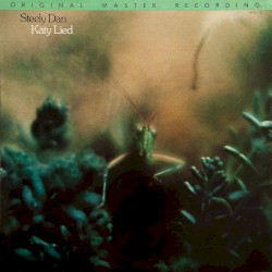 Katy Lied