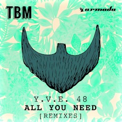 All You Need – Remixes