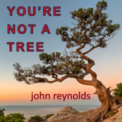 You're Not A Tree