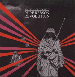 An Introduction to Pure Reason Revolution