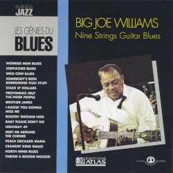 Nine Strings Guitar Blues