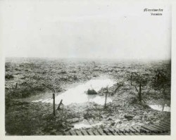 Vorwärts (Striider Remix)