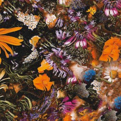 Greetings from Earth