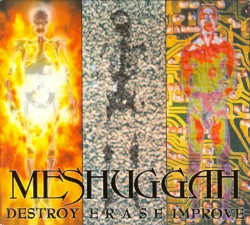Destroy Erase Improve