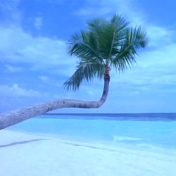 3ļ½ļ½
ļ¼¢ļ½
ļ½ļ½ļ½