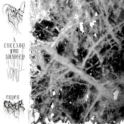 A LULLABY FOR ANXIETY