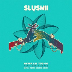 Never Let You Go (MOTi & Terry McLove remix)