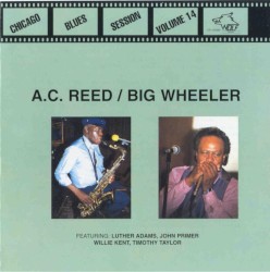 Chicago Blues Session, Volume 14