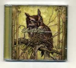 A New Home in the Old World