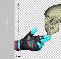 Youth With Skull I&II