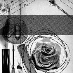 Elemental Part Three: Rose