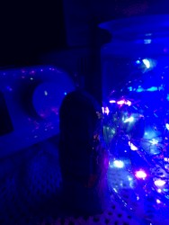 Crystals of Frozen Atmosphere