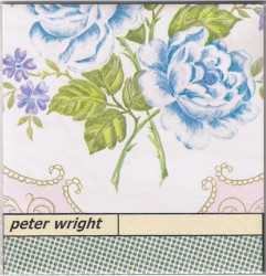 Catch a Spear as It Flies