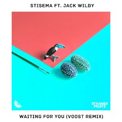 Waiting for You (Voost remix)