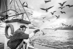 The Best Siddhi Is Having No Special Powers at All