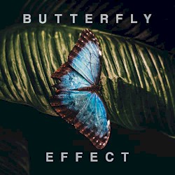 Butterfly Effect