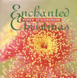 Enchanted Christmas