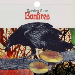 Bonfires