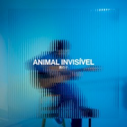 Animal Invisível