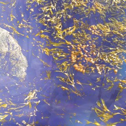 Enter the Void 2022 [VHS]