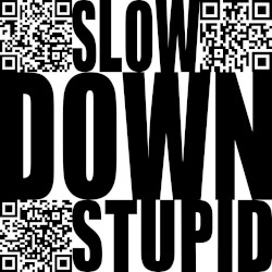 Slow Down Stupid