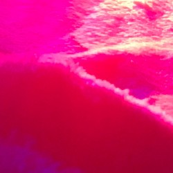 The Plan to be Famous