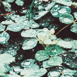 Rain Chamber