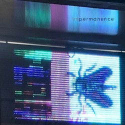 Somewhere I hear the voice I thought I killed