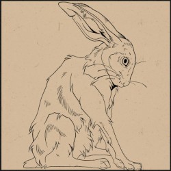 I Wish We Could Have Talked About It