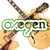 Oxygen Festival Punchestown