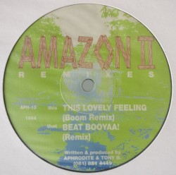 Beat Booyaa! / This Lovely Feeling (Remixes)