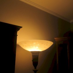 Working With My Grandma_9-29-2018