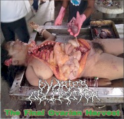 The Final Ovarian Harvest