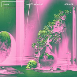 Liminal (The Remixes)