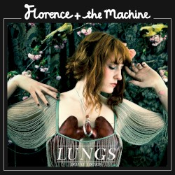 Lungs