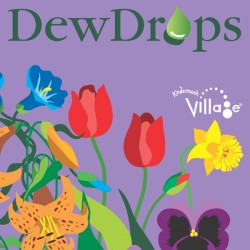 DewDrops