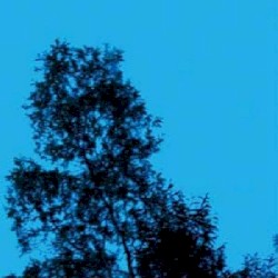 A Republic of Sadness